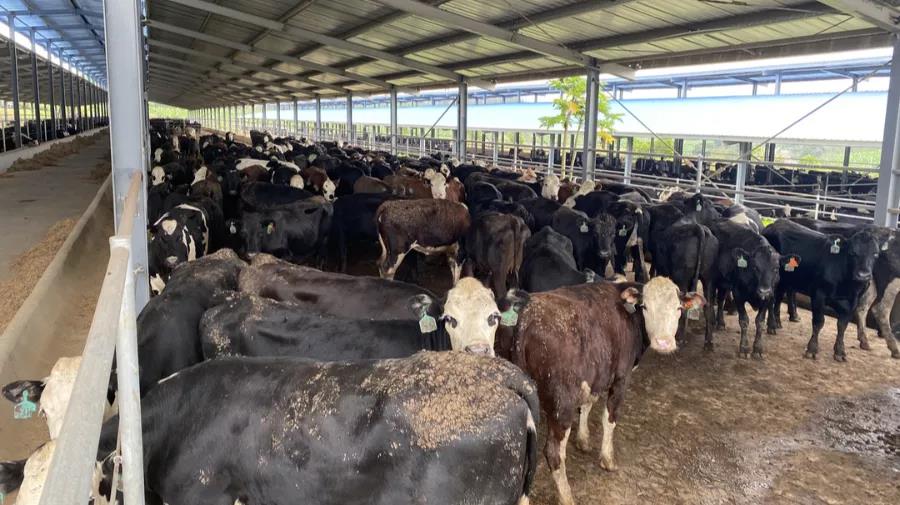 1643275349579604.jpg WeChat Image_20220127172200.jpg