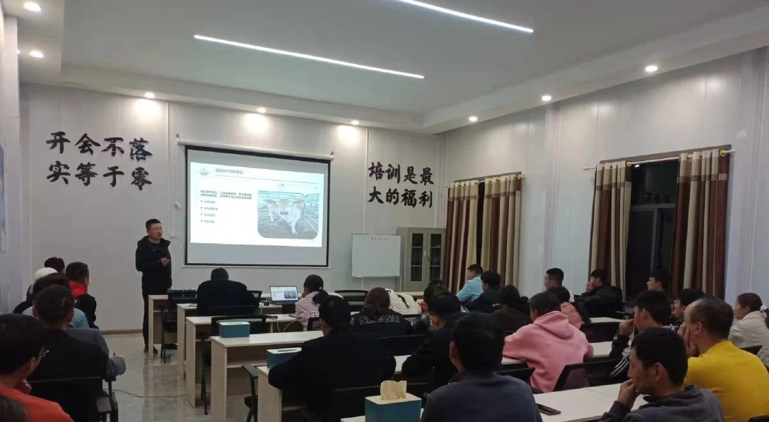 1698028772667741.jpg 1698028772667741.jpg